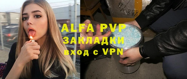 ПСИЛОЦИБИНОВЫЕ ГРИБЫ Заволжье