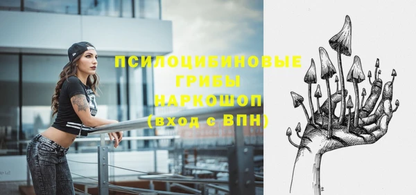 марки nbome Ельня
