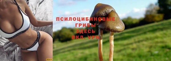 марки nbome Ельня