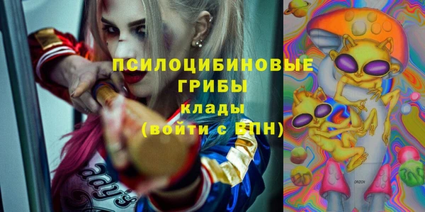 ПСИЛОЦИБИНОВЫЕ ГРИБЫ Дмитровск