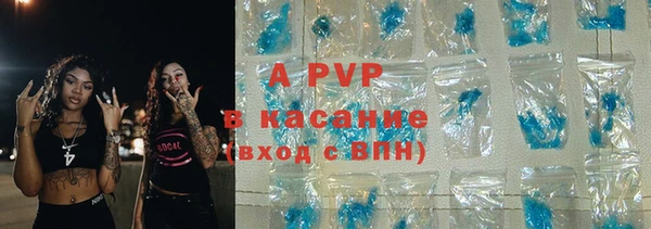 ПСИЛОЦИБИНОВЫЕ ГРИБЫ Заволжье