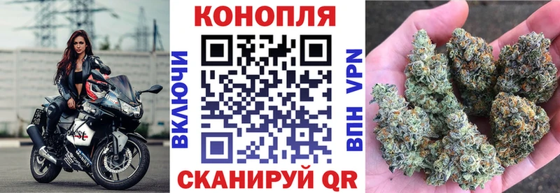 МАРИХУАНА сатива  Майкоп 